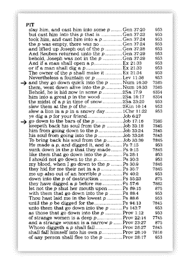 Strong's Concordance entry for "Pit"